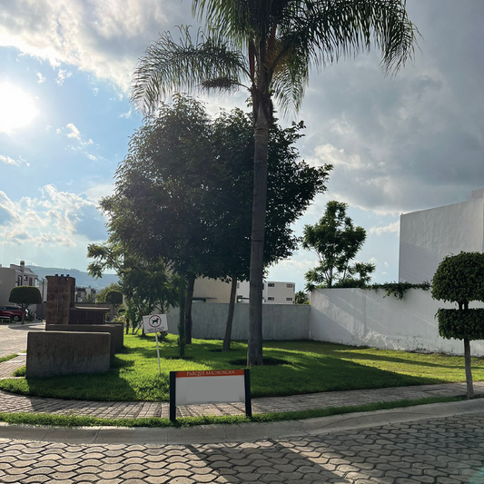 2-tv- Terreno VENTA Parque Michoacan